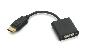 DisplayPort 1.1 Male to DVI-D Female Adapter Cable