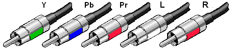 Component 5 RCA Male Connectors